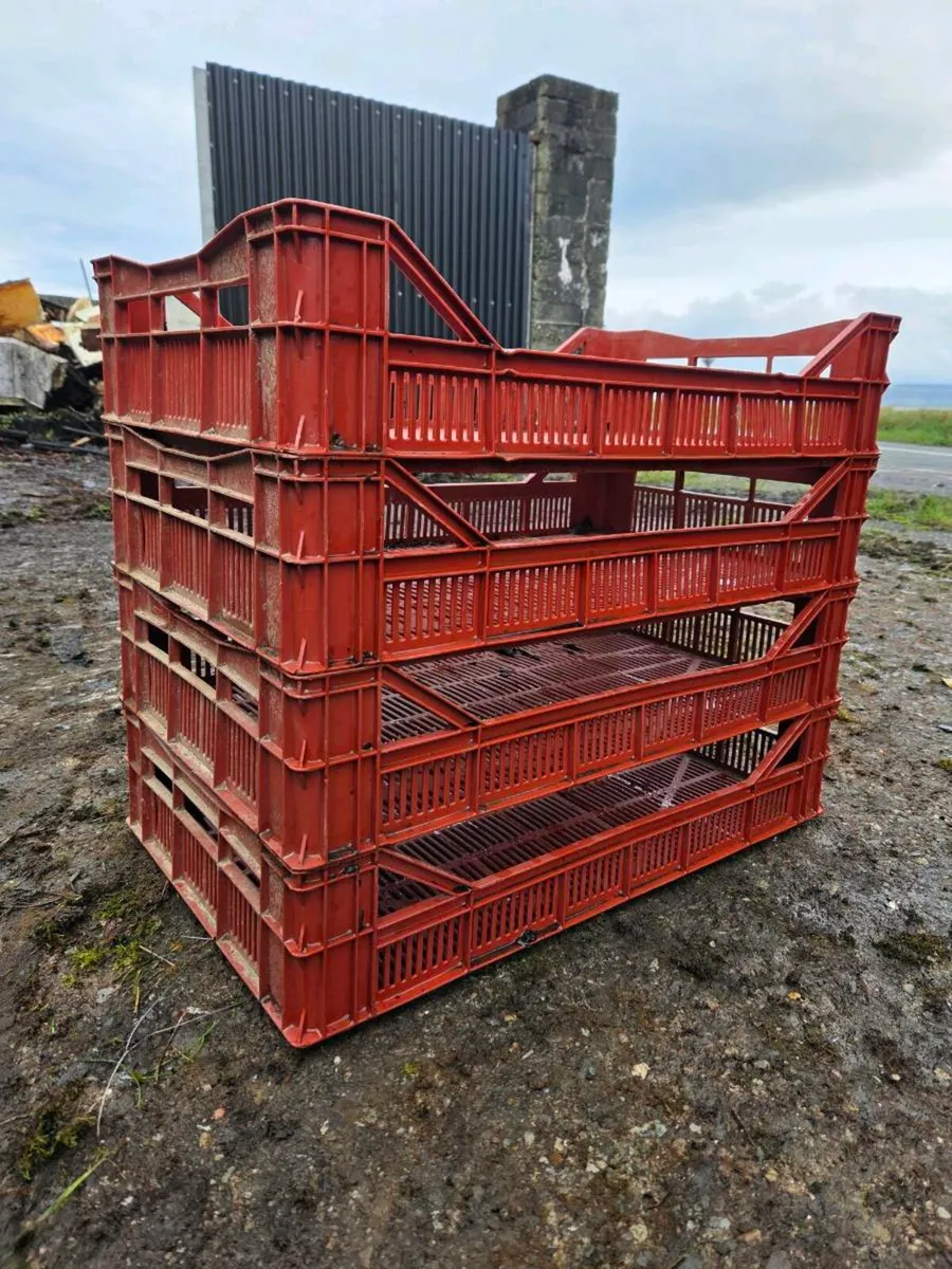 Potato sprouting boxes - Image 1