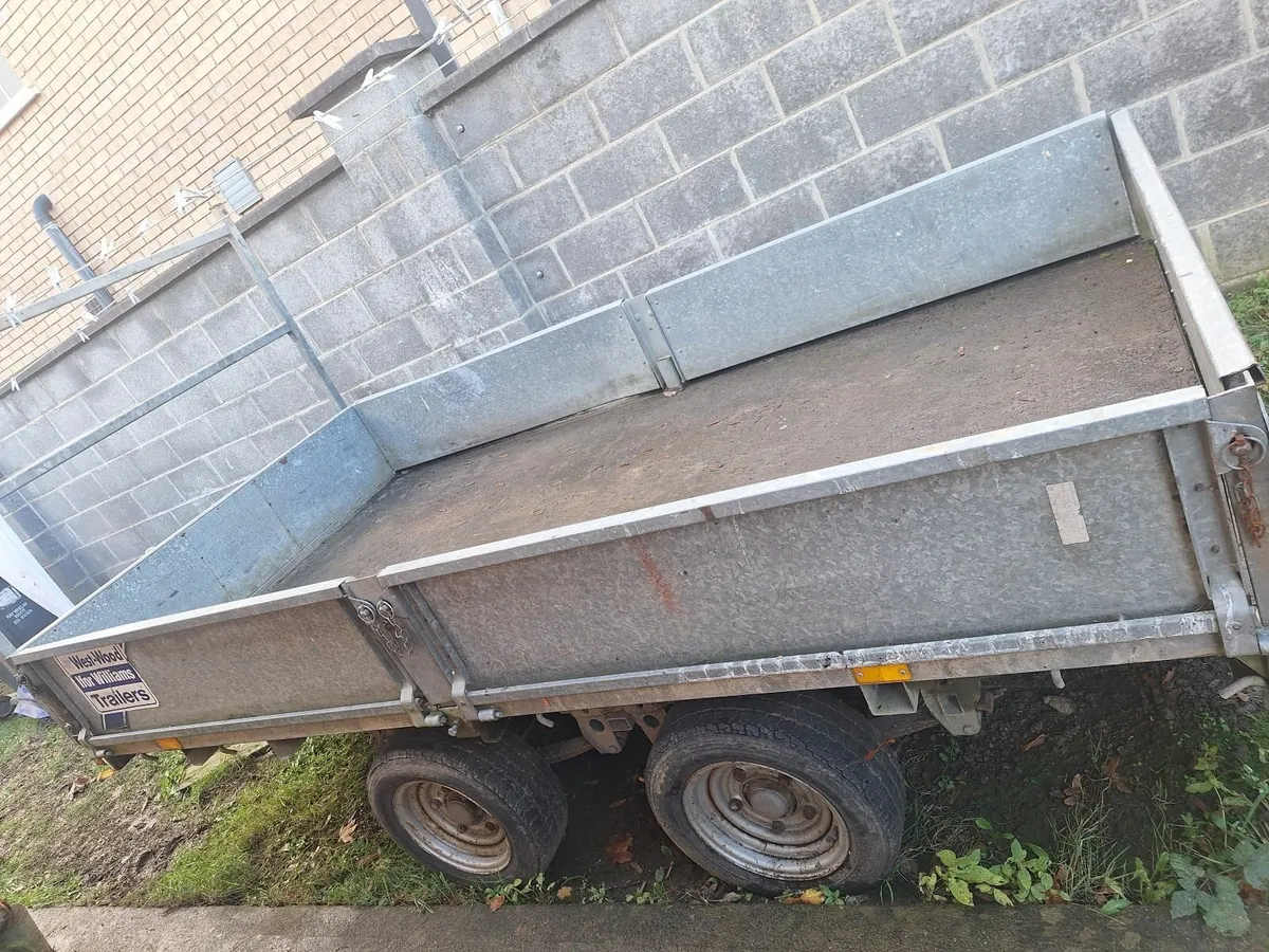 Iver Williams  10ft  x 5ft - Image 1