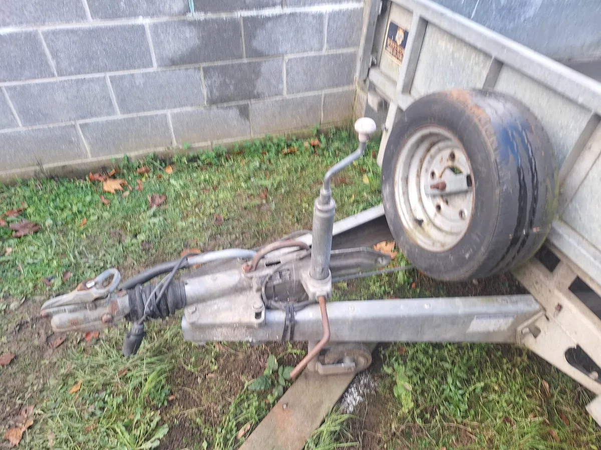 Iver Williams  10ft  x 5ft - Image 2