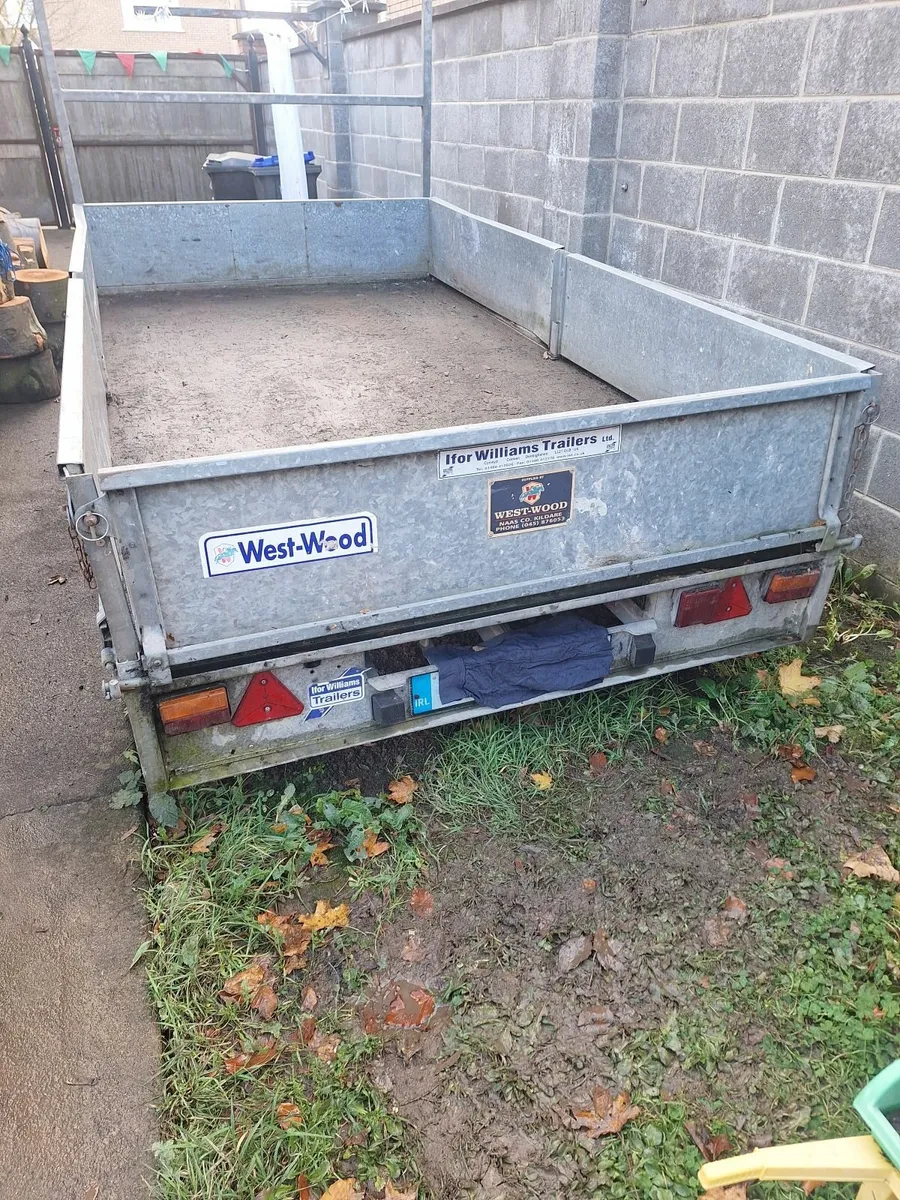 Iver Williams  10ft  x 5ft - Image 4