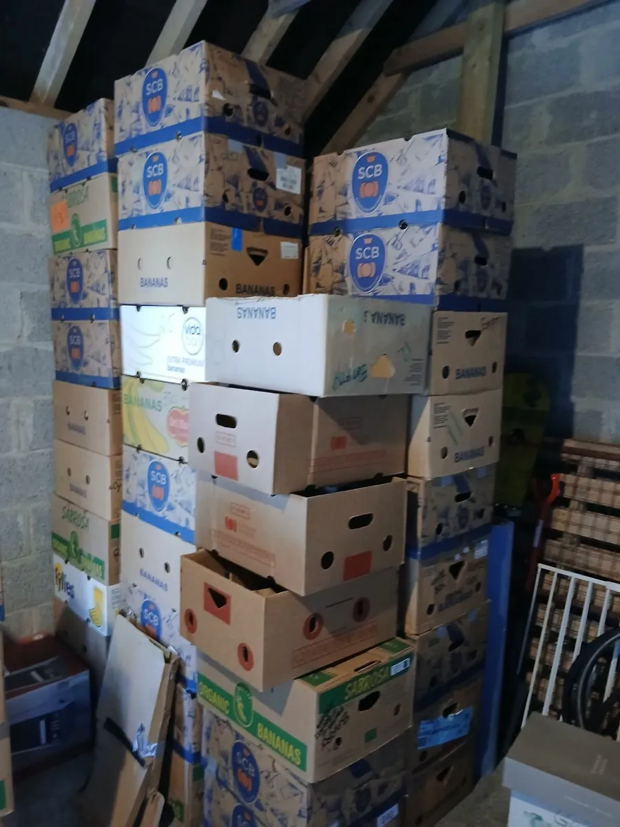 Storage and Moving Boxes - Image 1