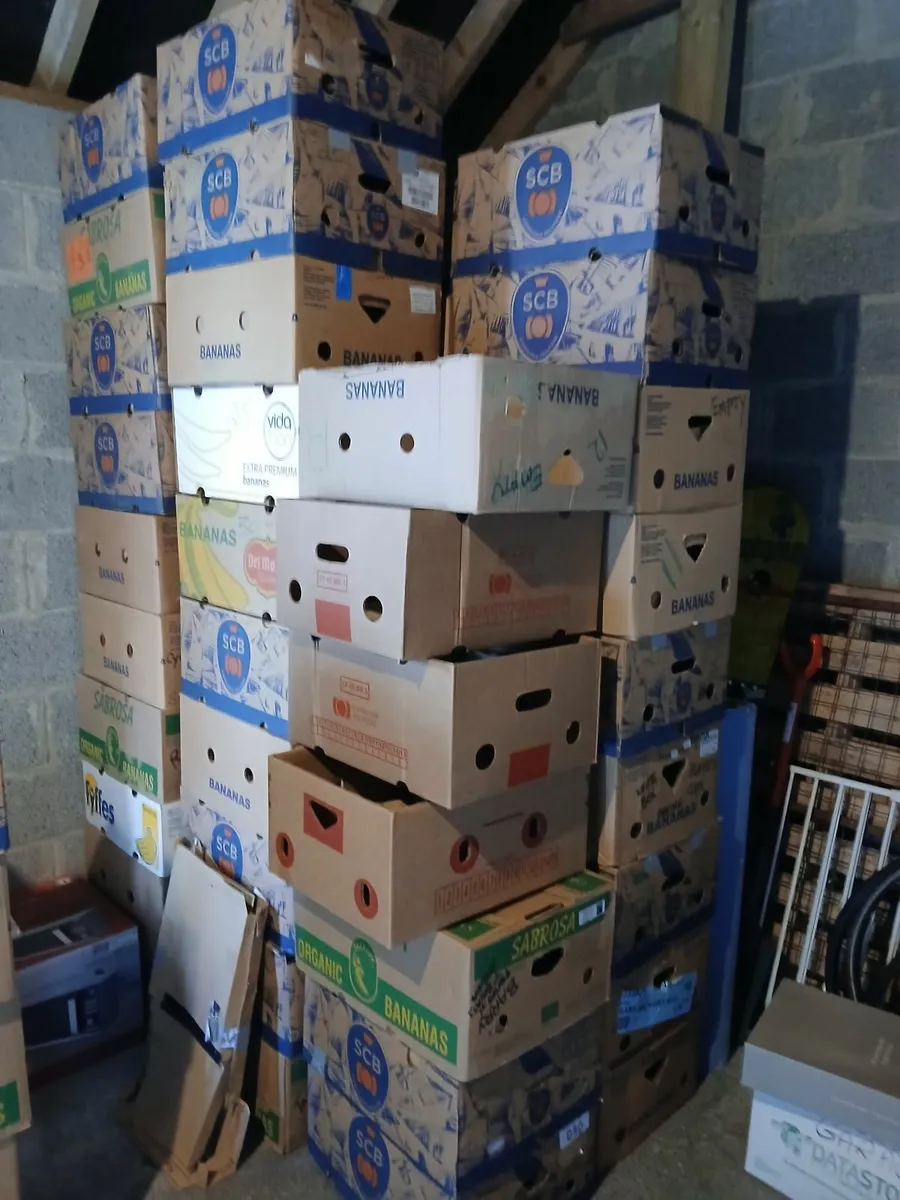 Storage and Moving Boxes - Image 2