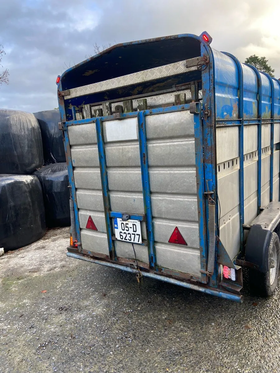 8x4 trailer with sheep decks - Image 2