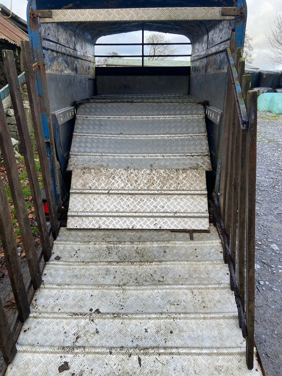 8x4 trailer with sheep decks - Image 3