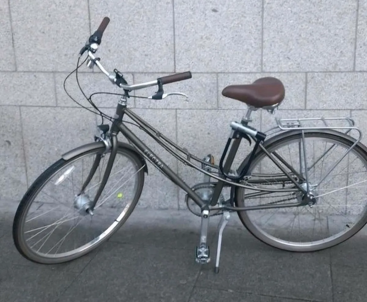 Trek Electra Loft 7i Step Thru Ladies Bike - Image 1