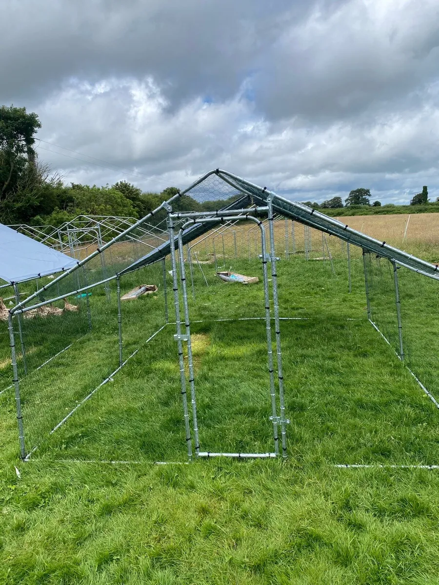 Who likes free things when you buy a Chicken Run? - Image 1