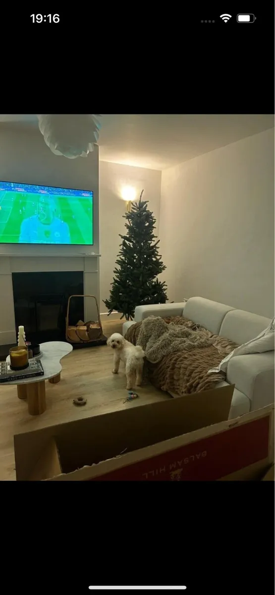 Christmas Tree from Balsam Hill - Image 2