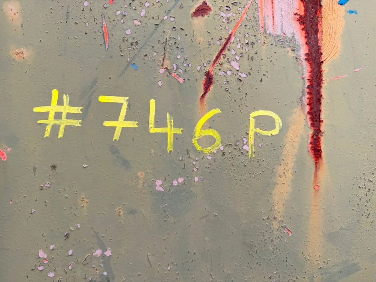 HOOK LOADER SKIP BIN ROLL ON ....# 746P - Image 3