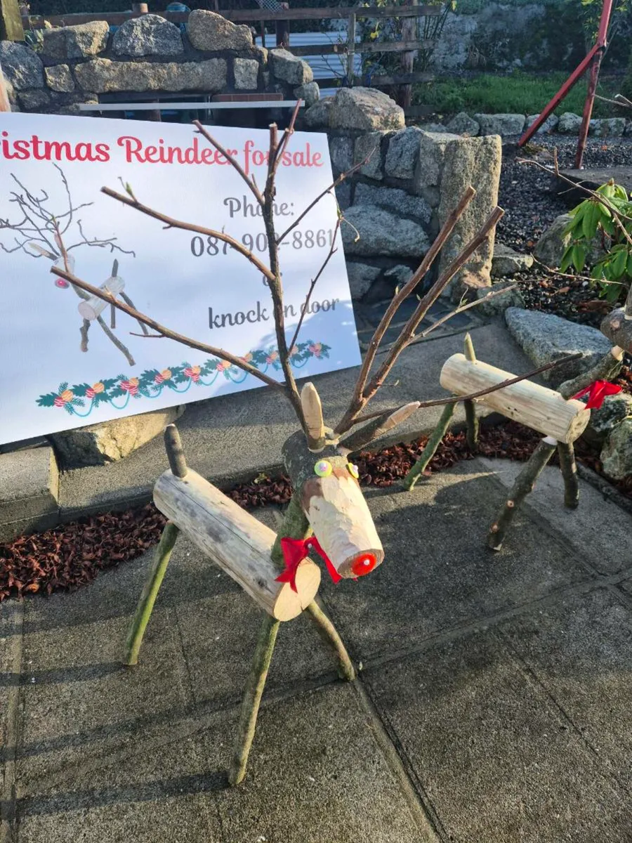 Christmas Log Reindeer - Image 2