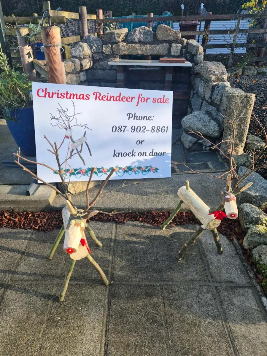 Christmas Log Reindeer - Image 3