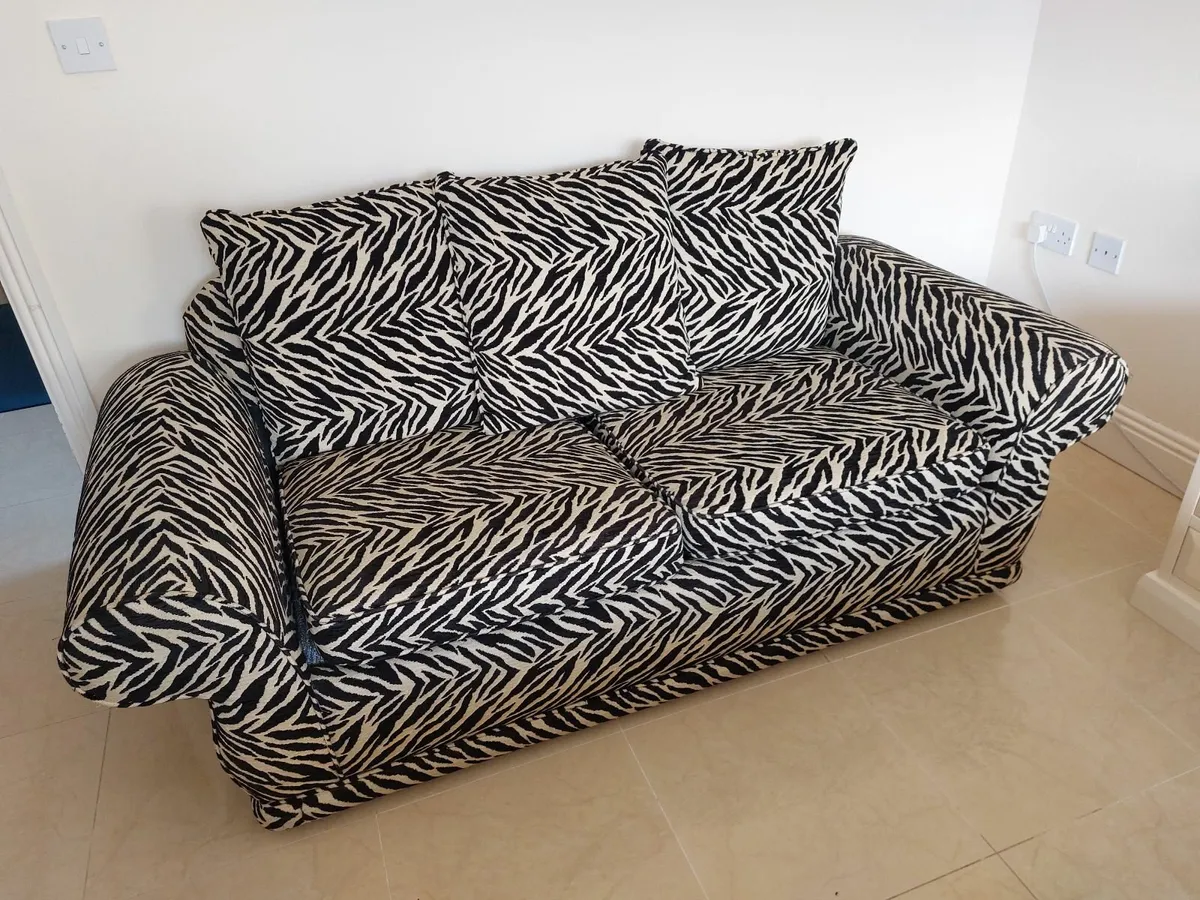 Sofa Bed 2 Setters - Image 1