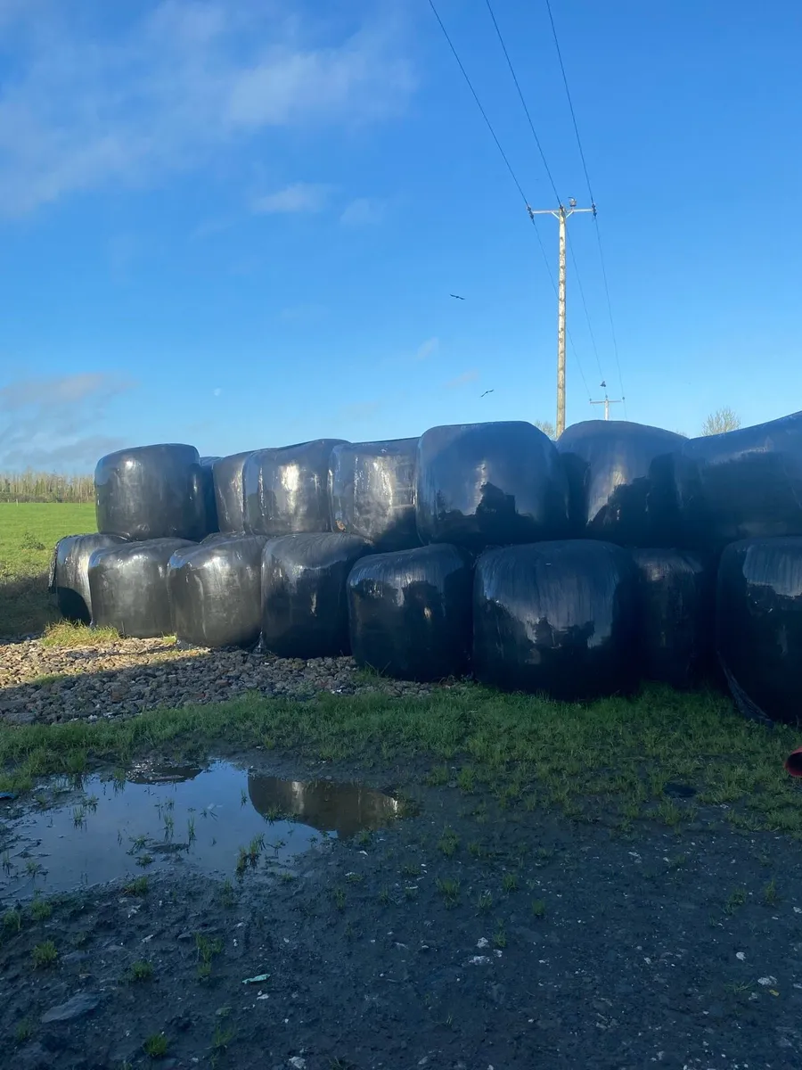 Silage Bales - Image 1