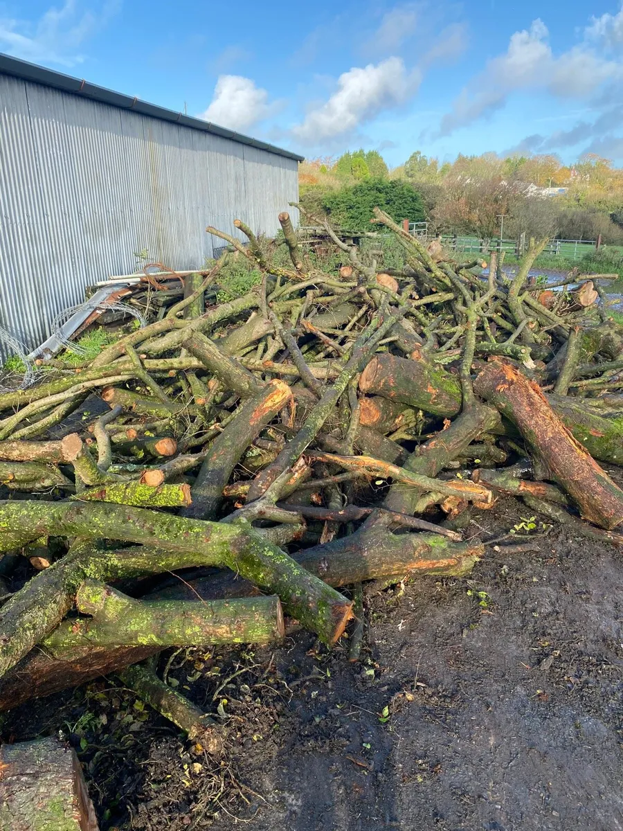 Timber for sale - Image 1