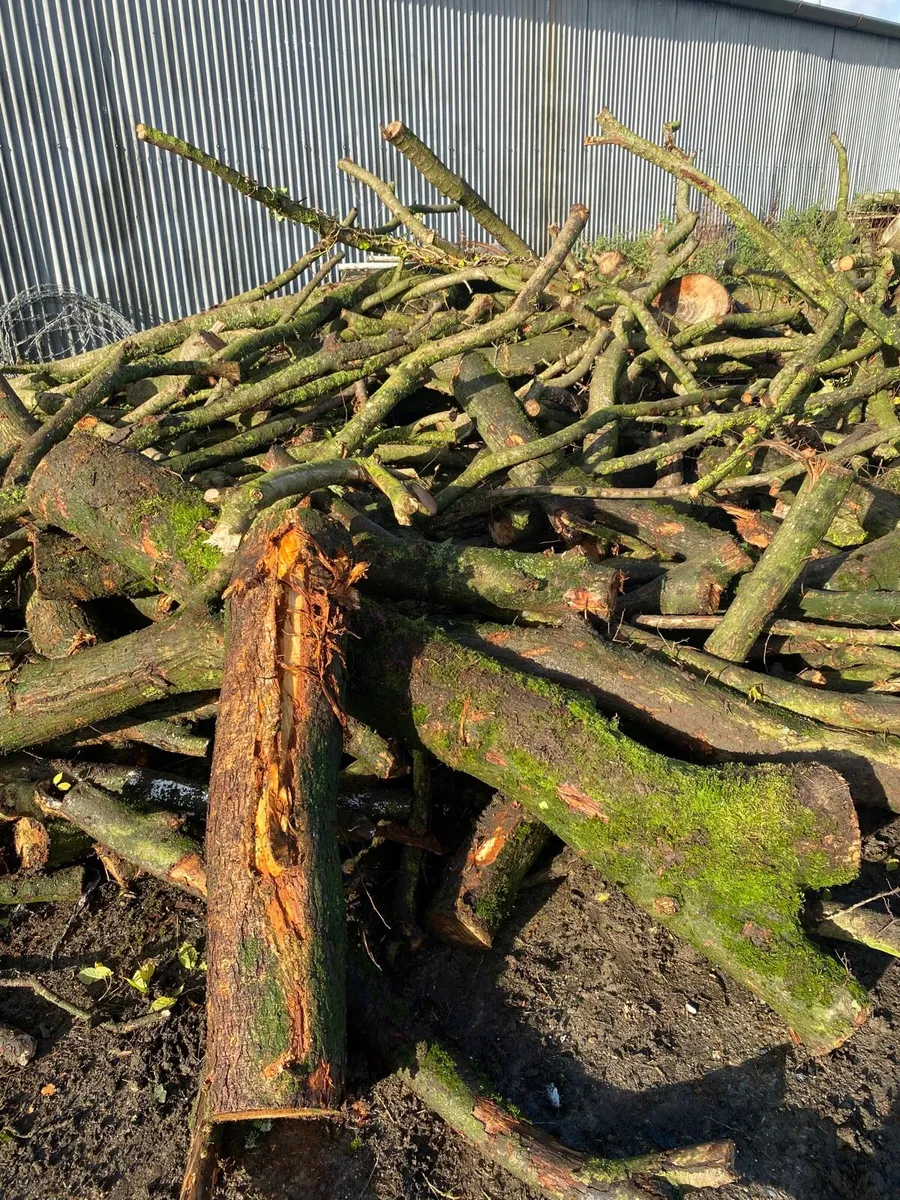 Timber for sale - Image 2