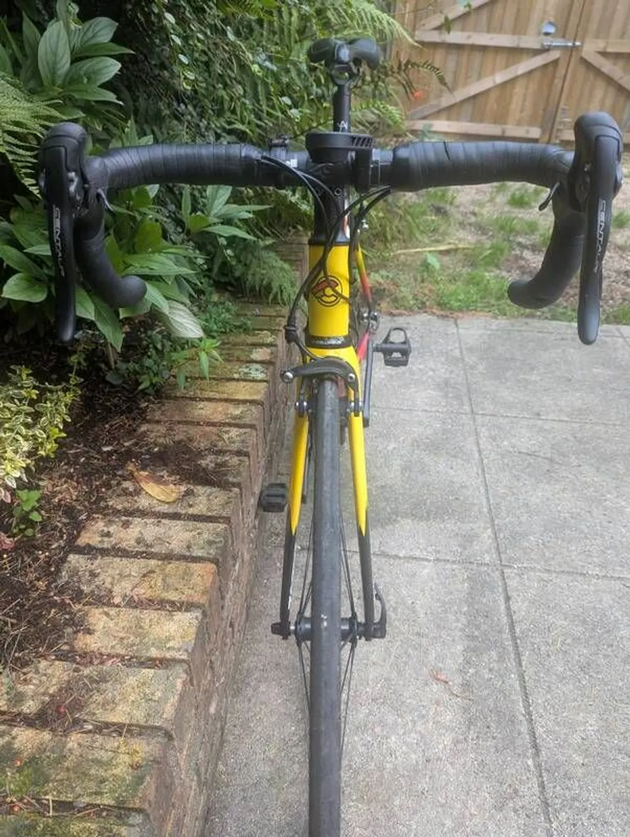 Cinelli Vigorelli road bike small - Image 4