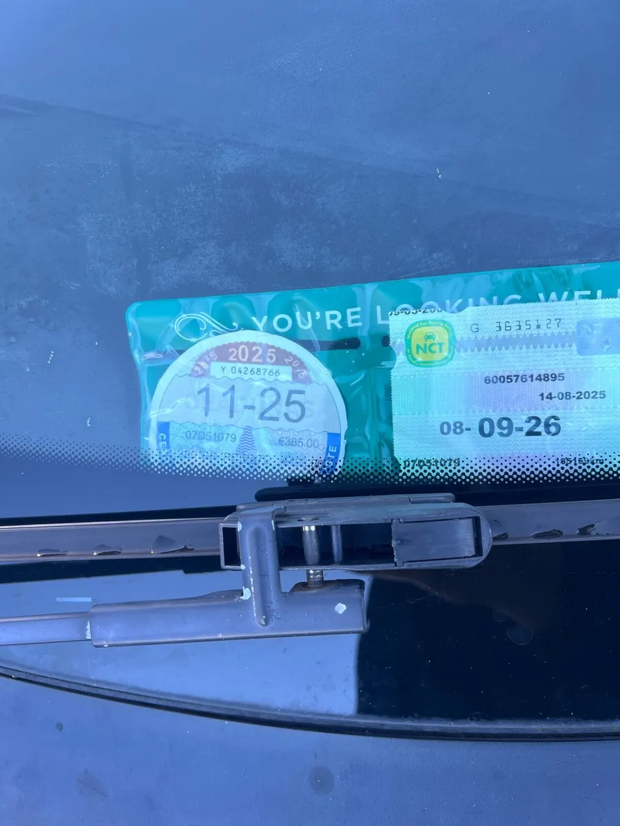 Car 207 (2007) - Image 3