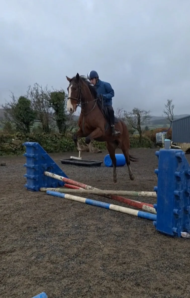 4 for sale see below - Image 1