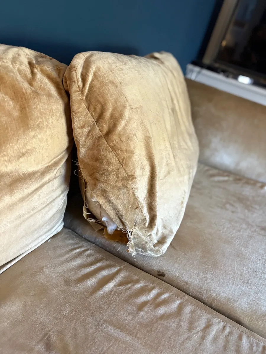 Sofa x 2 FREE - Image 3