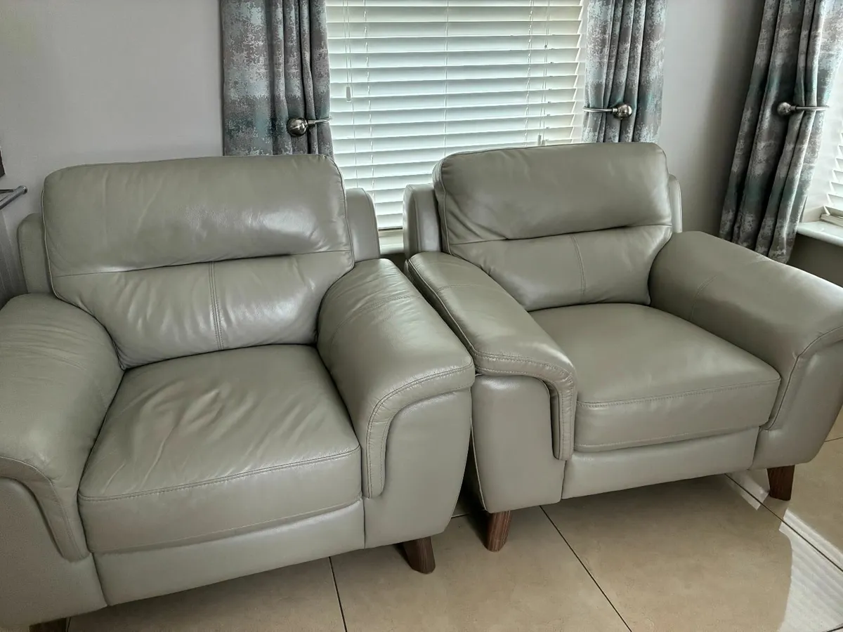 Leather Chairs - Image 1