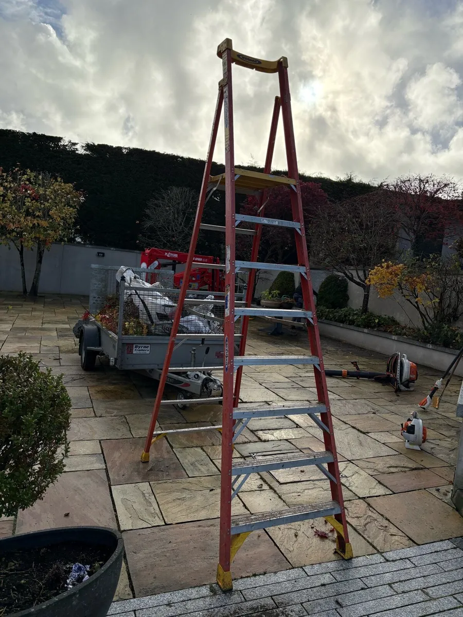 Step ladder - Image 2