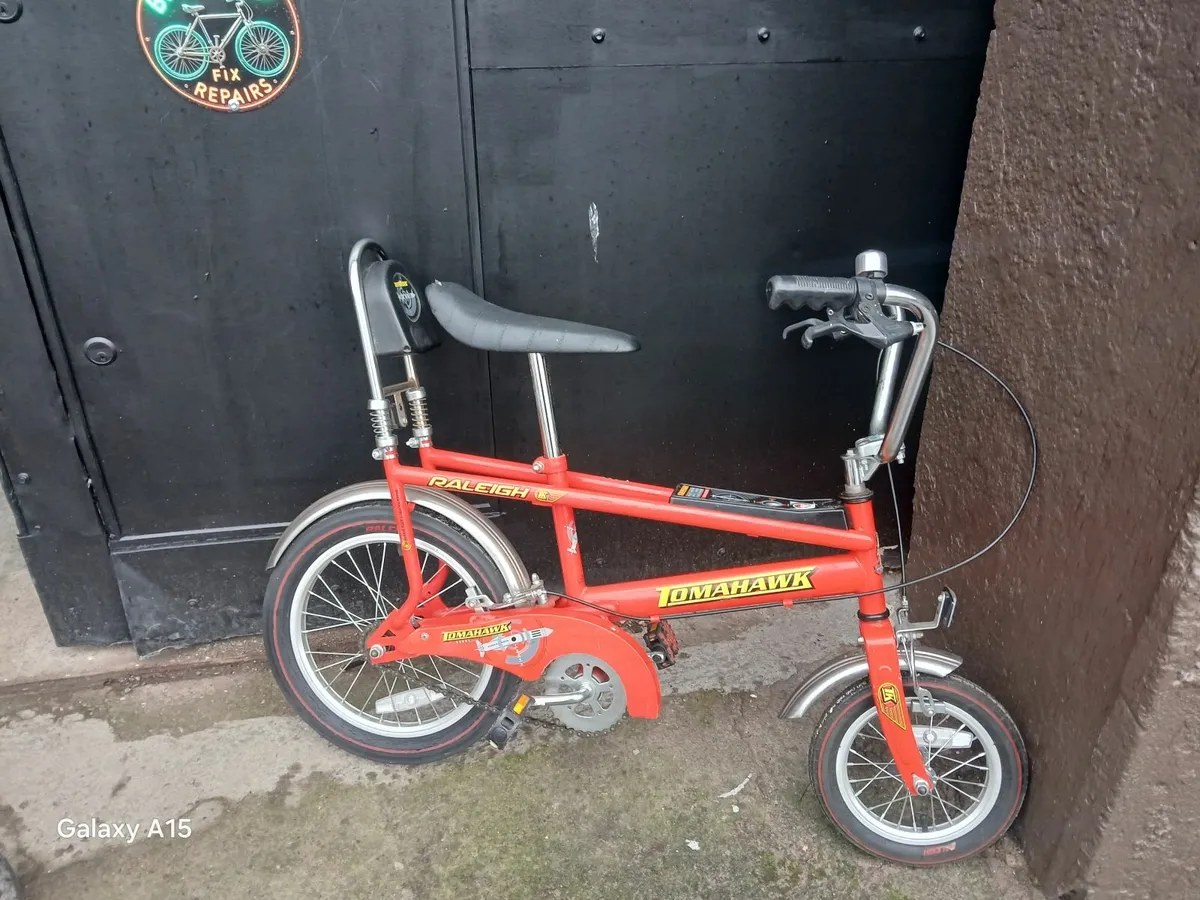 RALEIGH TOMAHAWK - Image 1