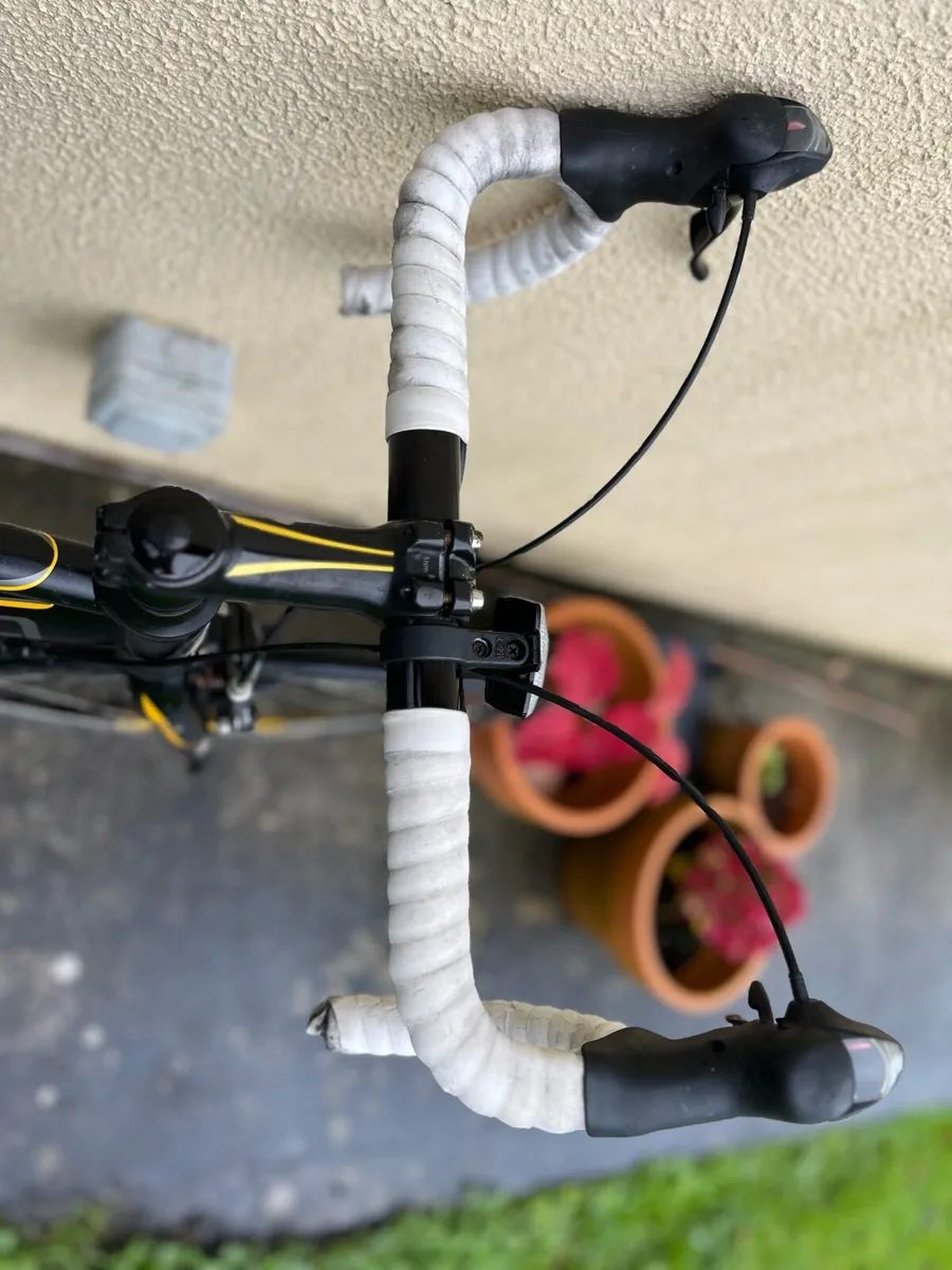 Carrera bike - Image 2