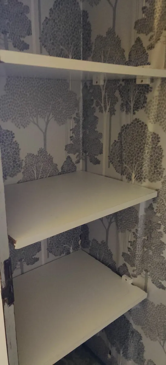 Antique Wardrobe - Image 4