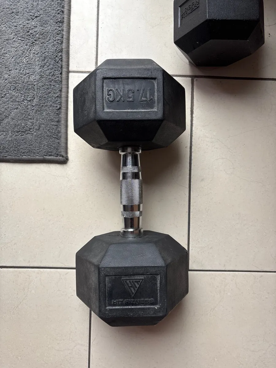 17.5kg dumbbell