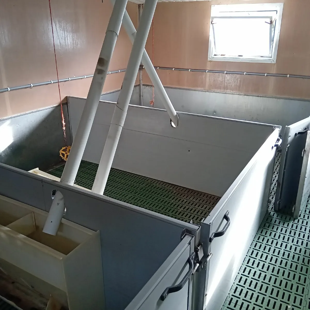 Two first stage pig rooms with communal wall - Image 4