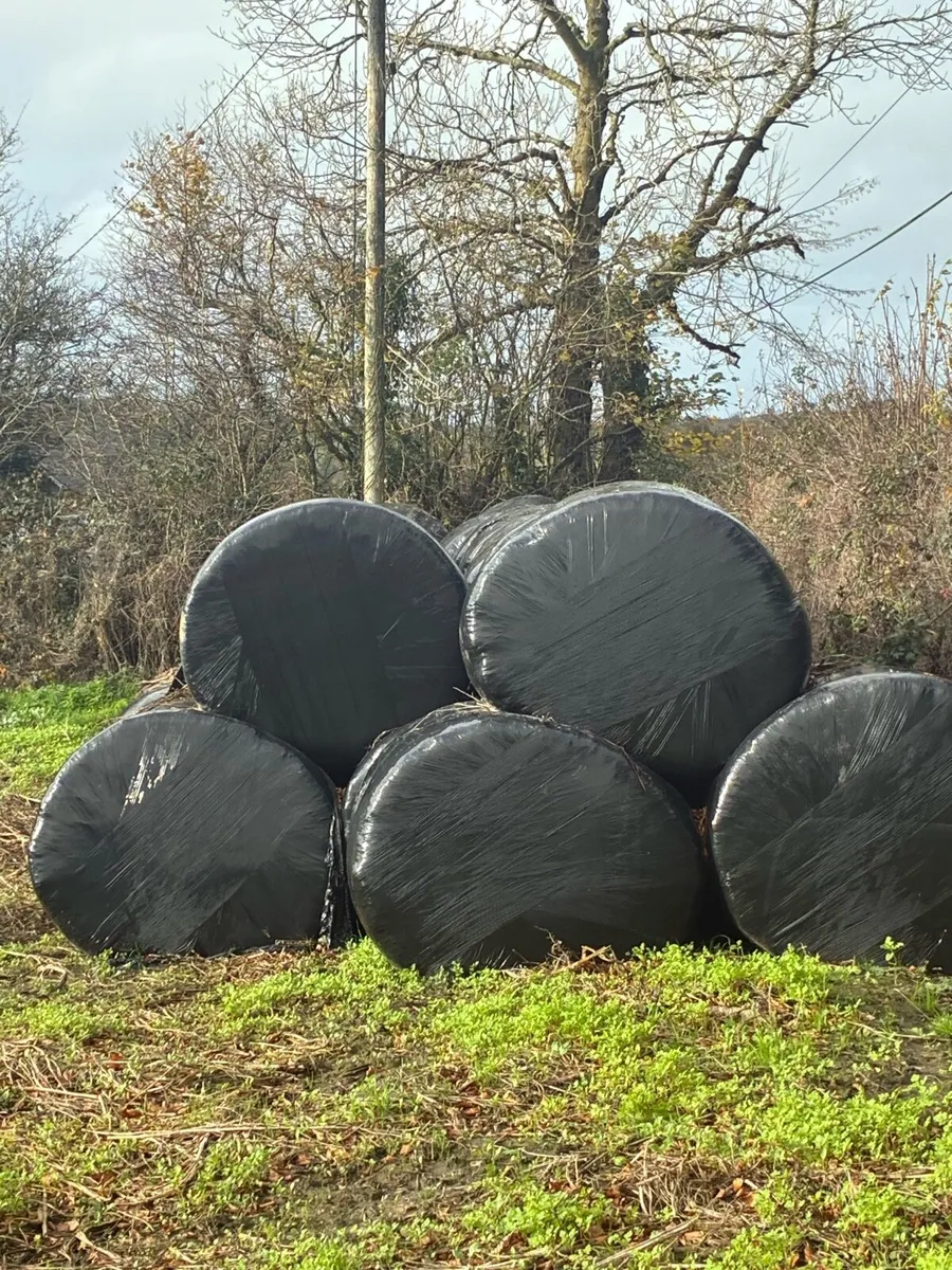Silage bales - Image 3