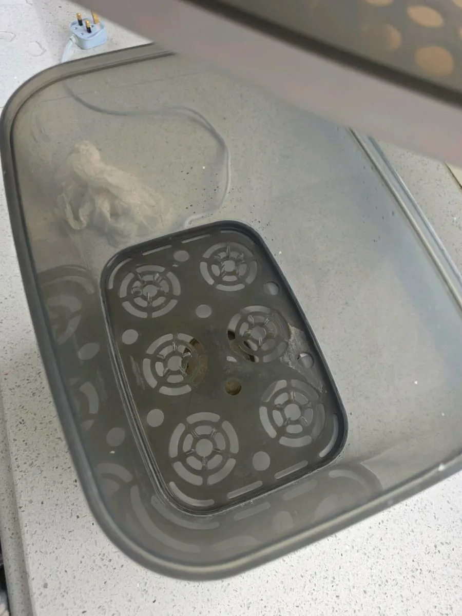 Bottle steriliser doctor brown - Image 4