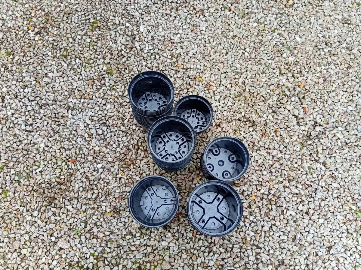 Plastic pots - Image 2