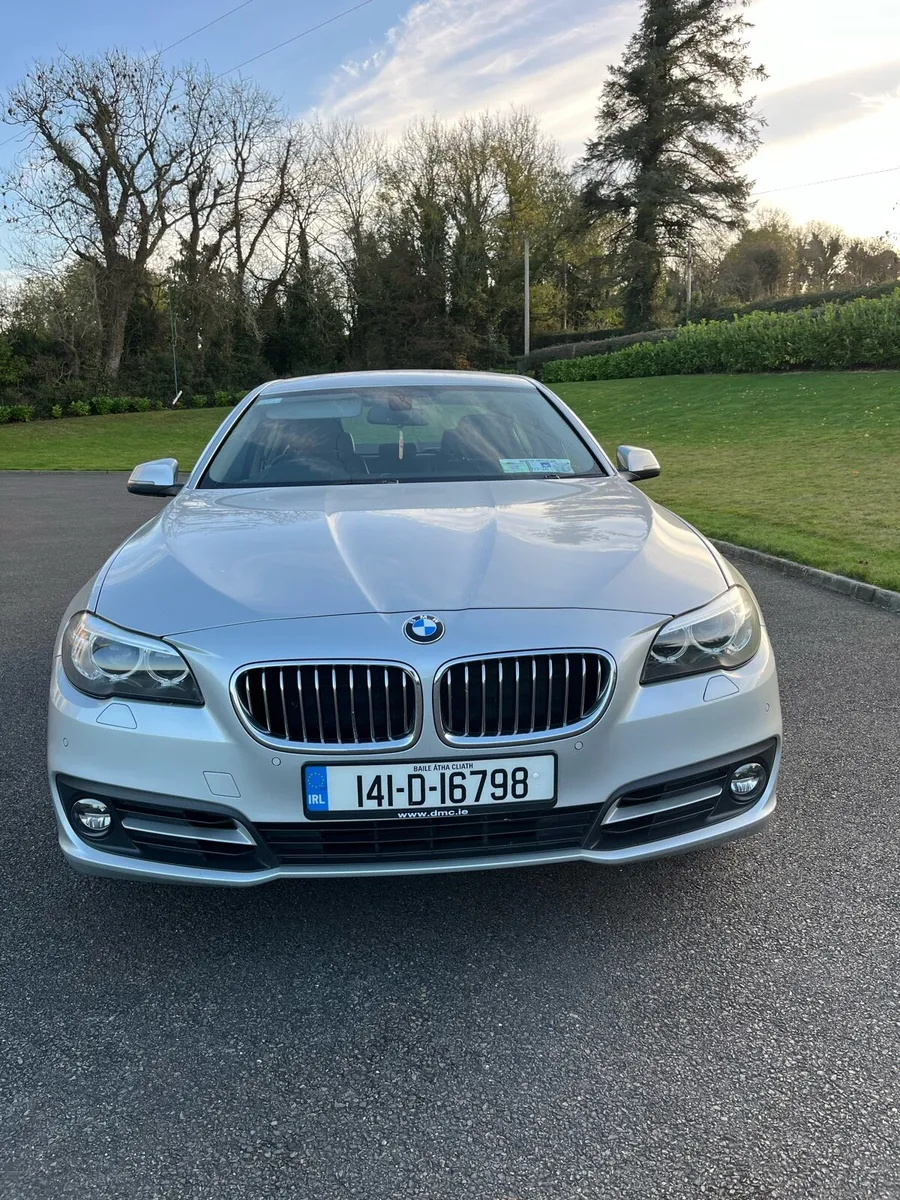 BMW 518d - Image 2