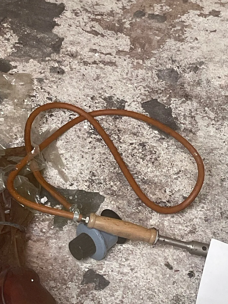 Yard cleanup - Image 3