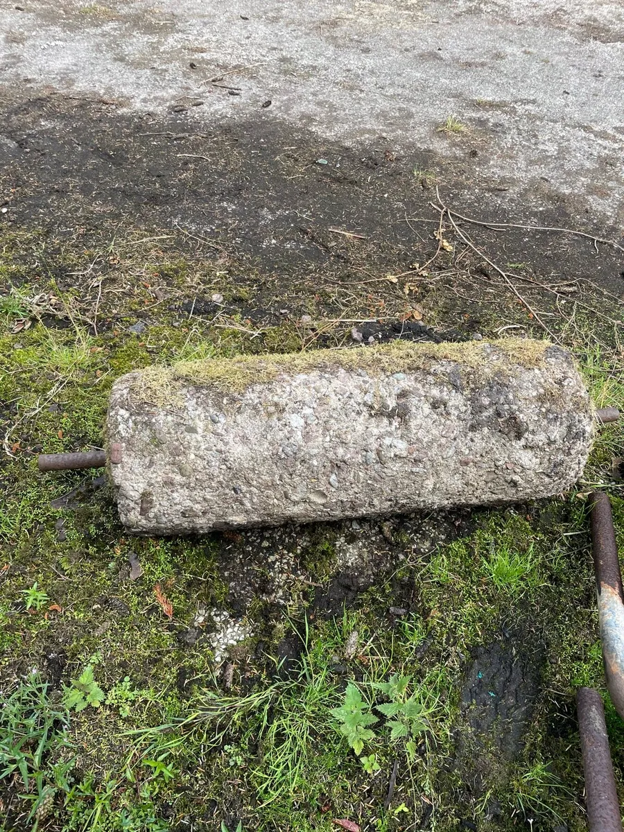 Yard cleanup - Image 4