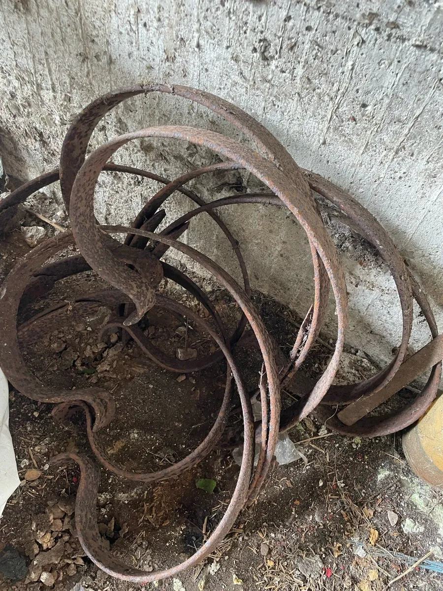 Yard cleanup - Image 3