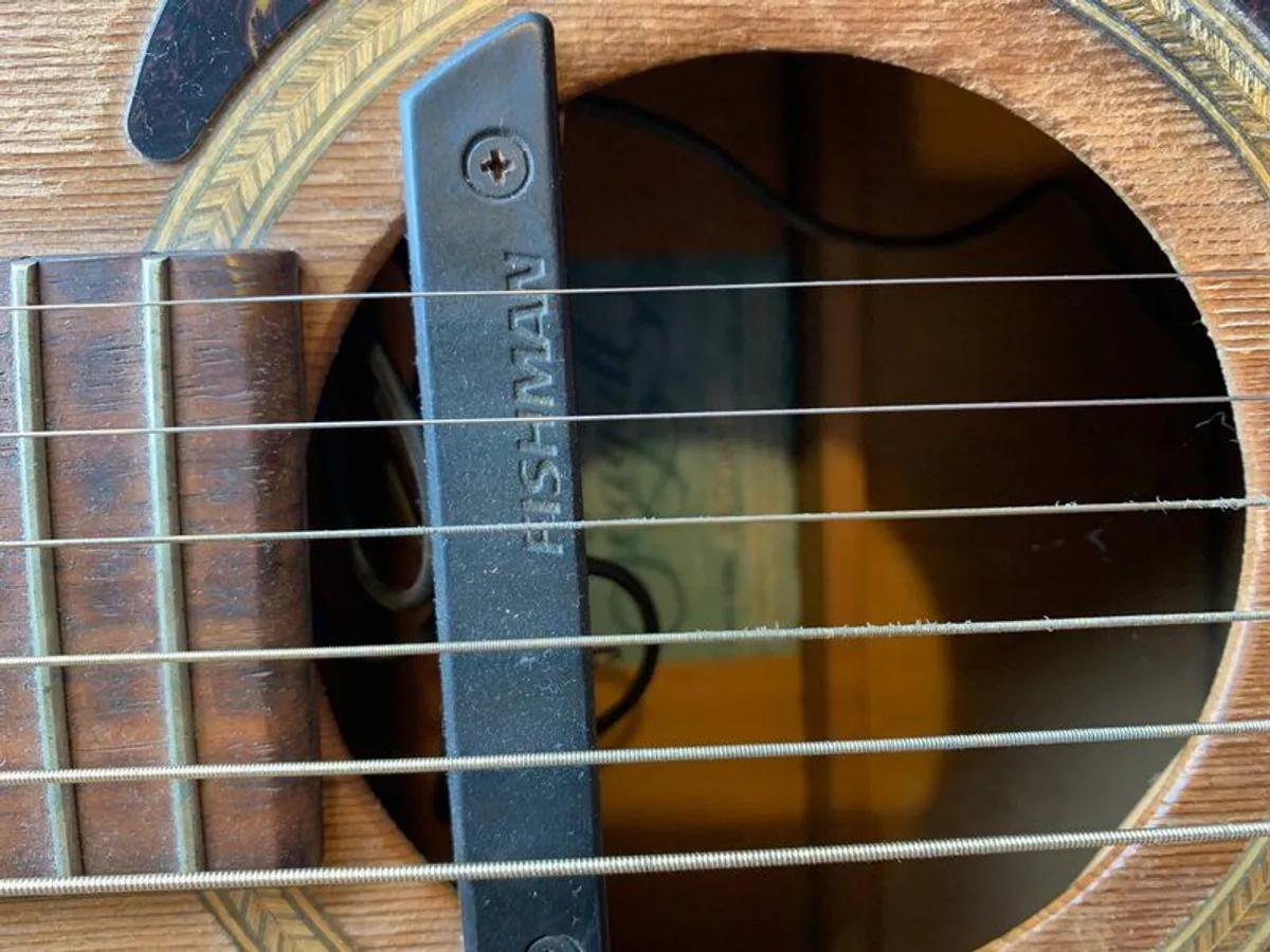 Seagull Canadian Guitar - Image 2