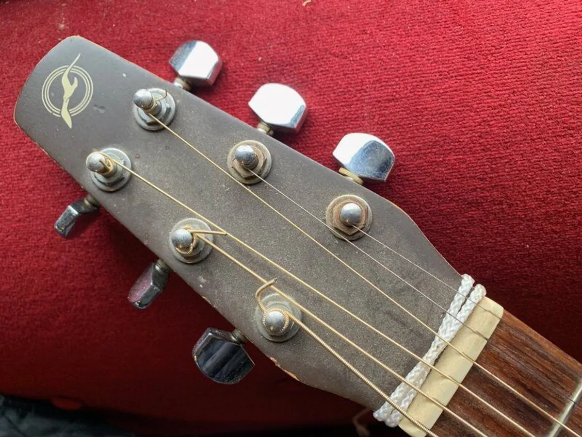 Seagull Canadian Guitar - Image 3