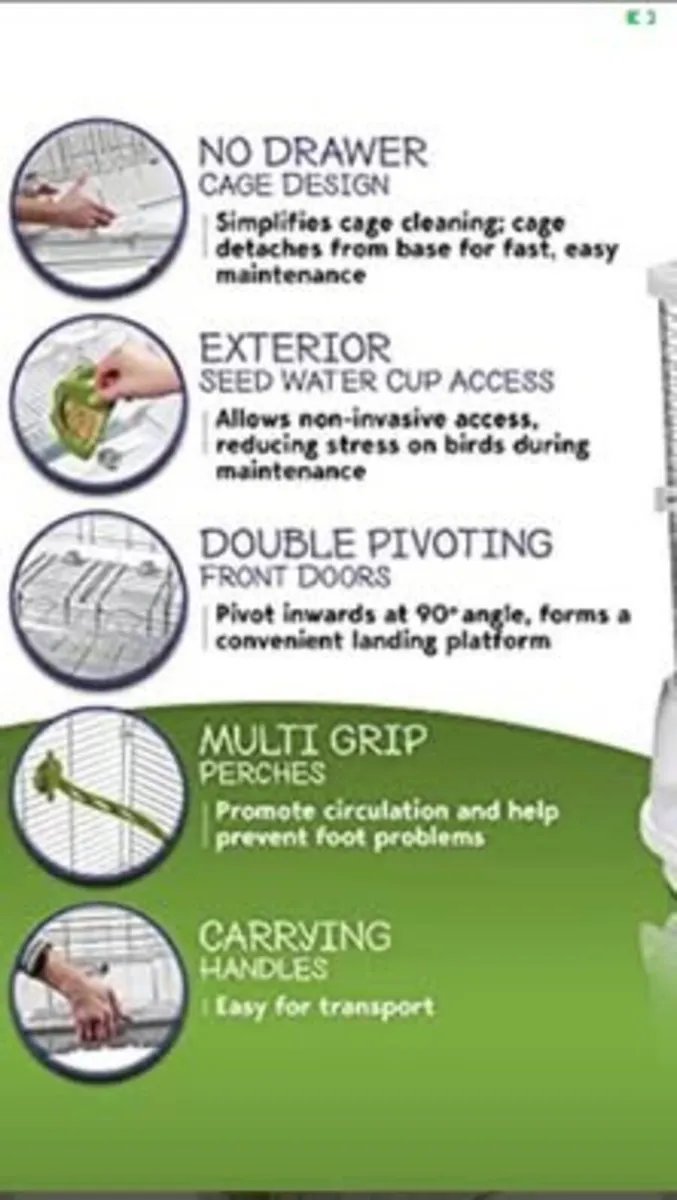 Vision Bird Cage - Image 2