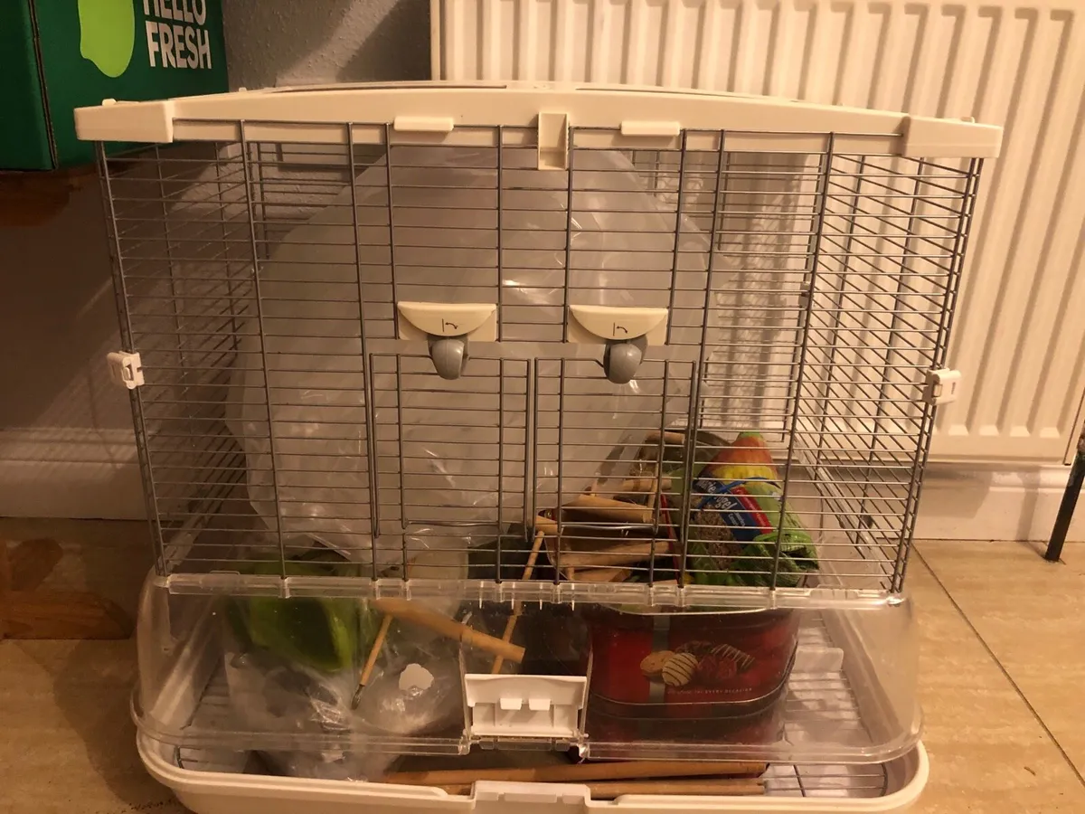 Vision Bird Cage - Image 3
