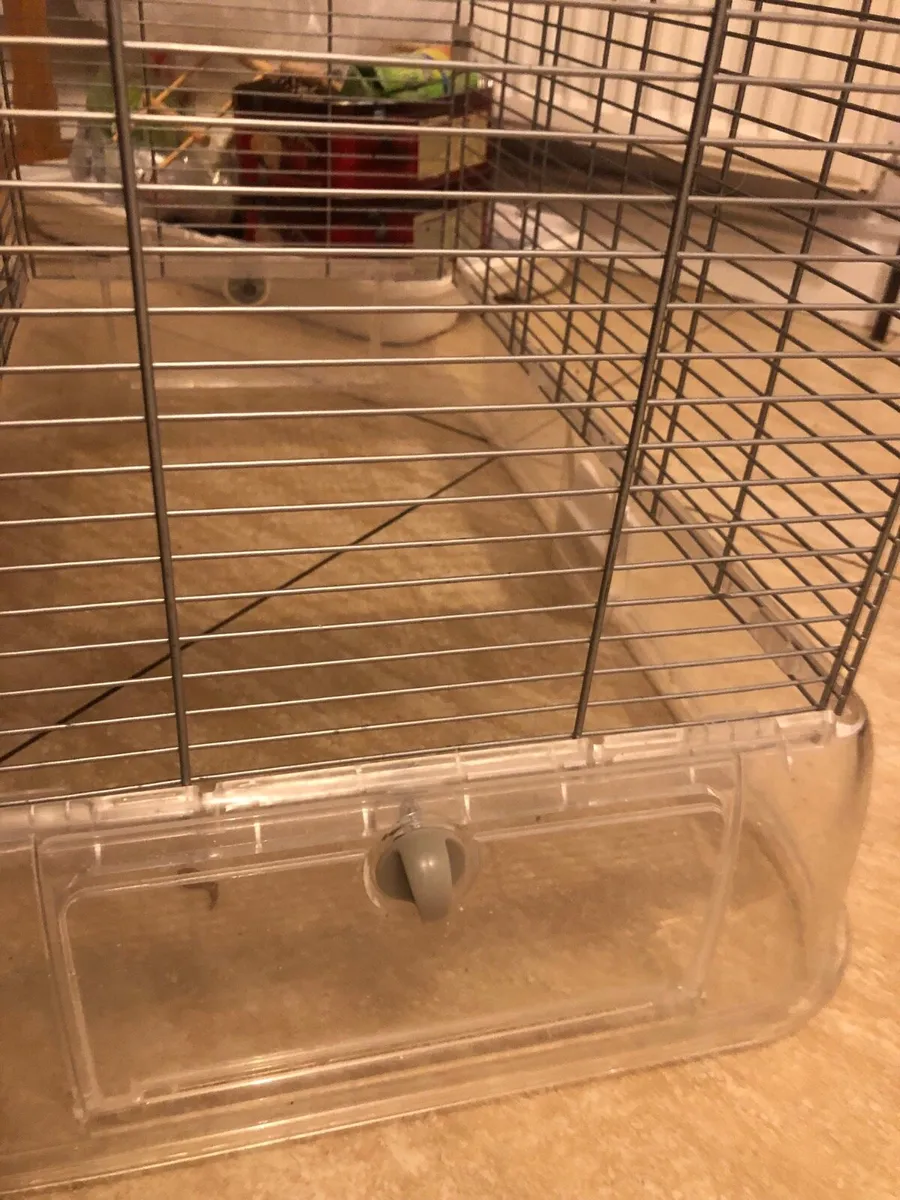 Vision Bird Cage - Image 4