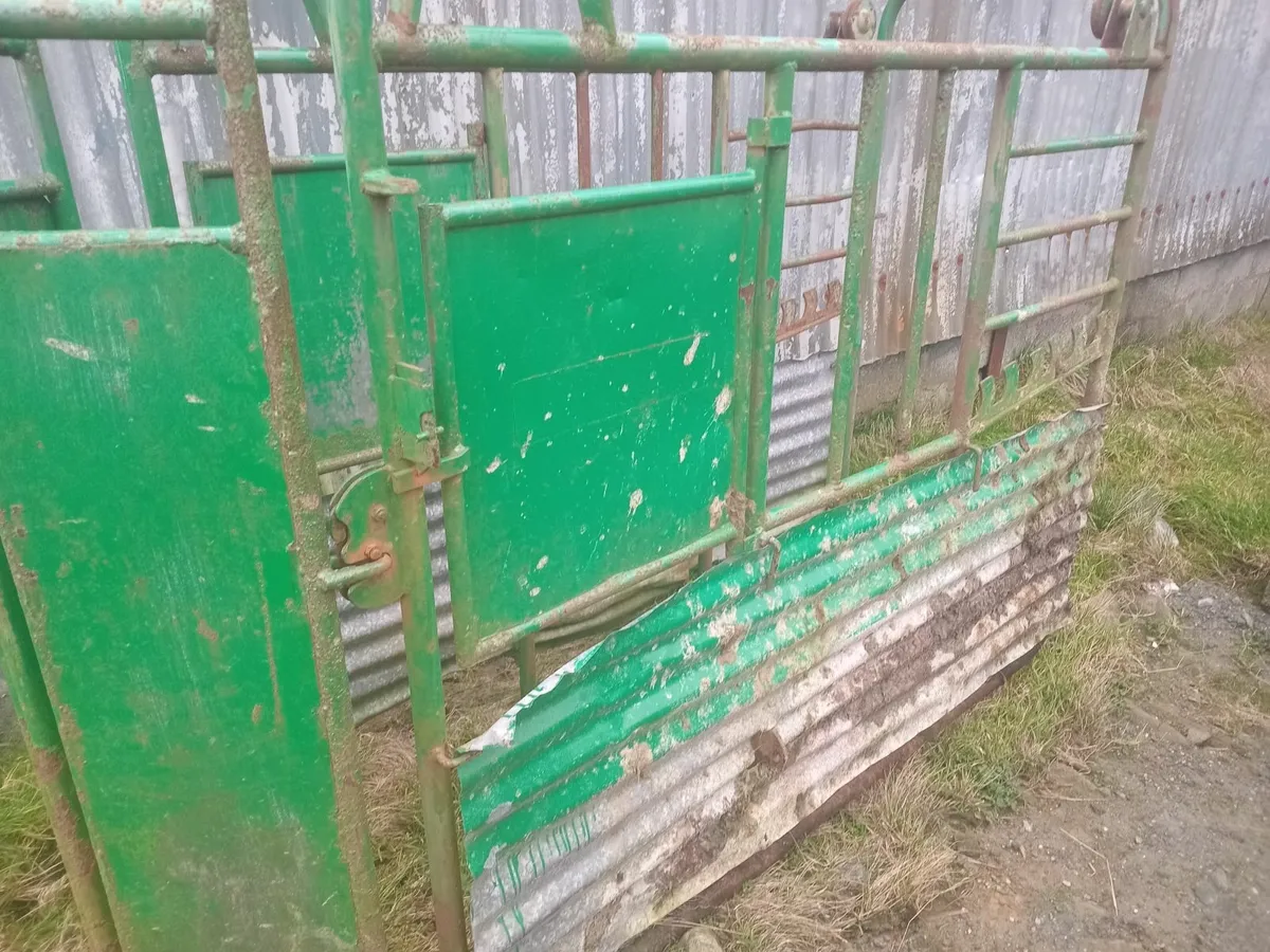 Mobile cattle crush - Image 1