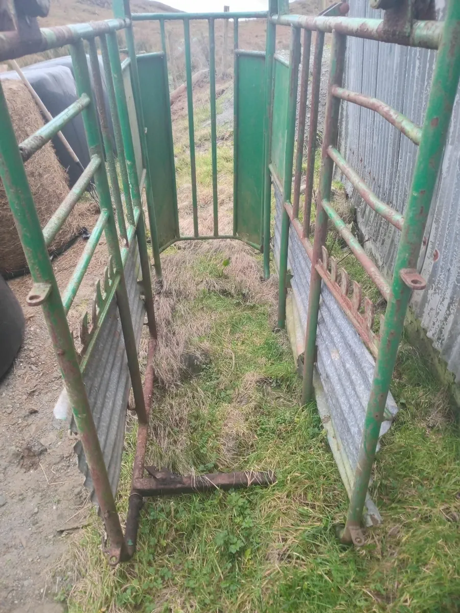 Mobile cattle crush - Image 2