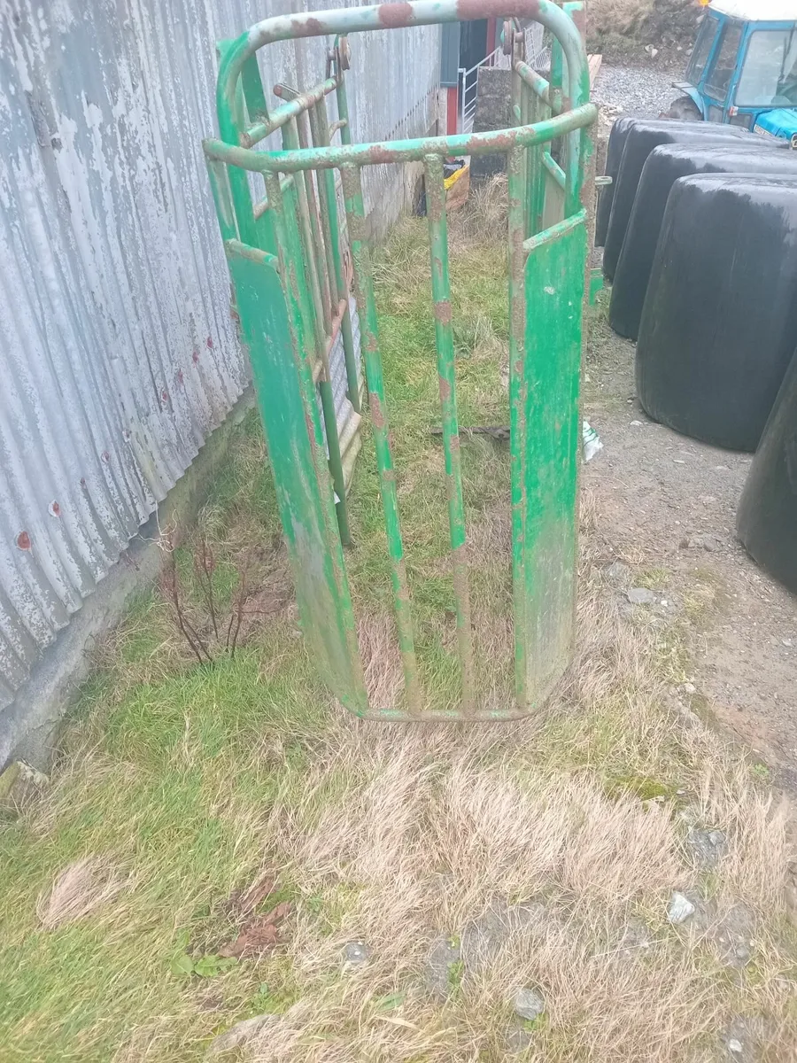 Mobile cattle crush - Image 3