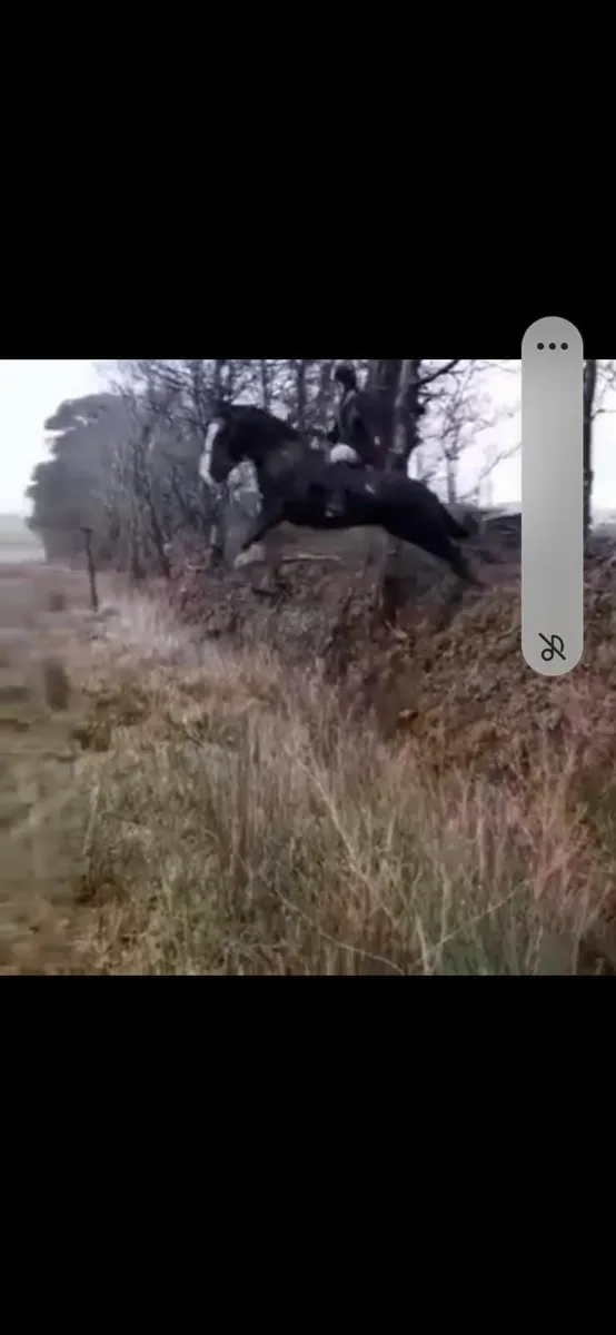 Gordon the Ladies Man - Image 2