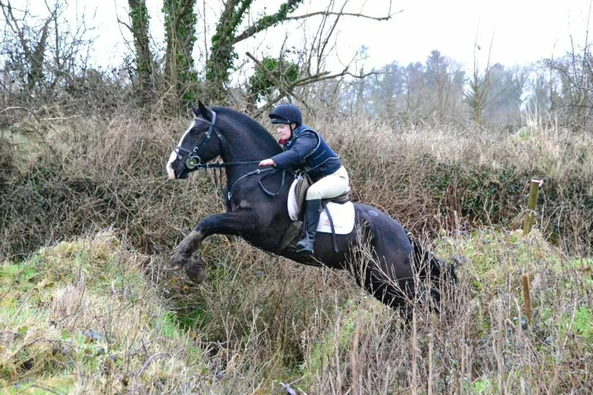 Gordon the Ladies Man - Image 3