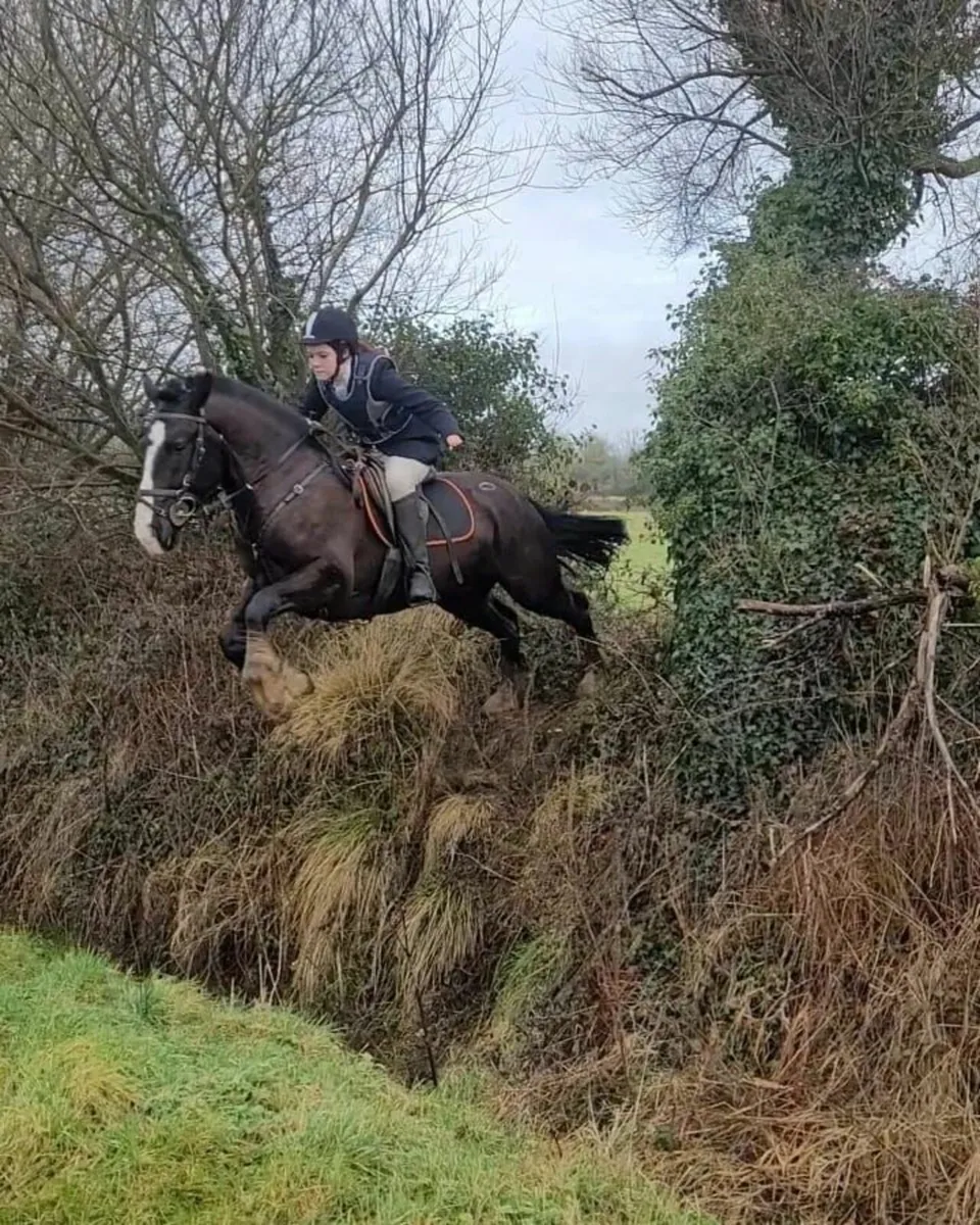 Gordon the Ladies Man - Image 4