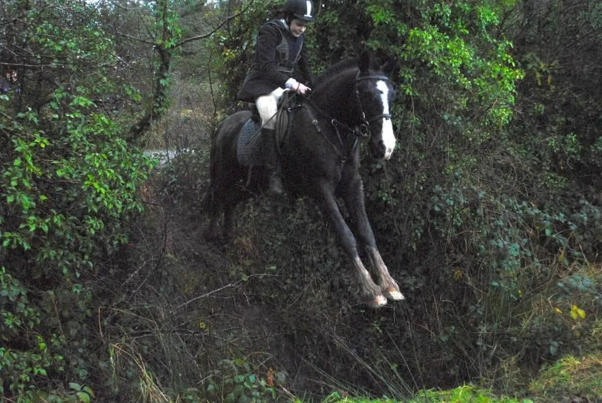 Gordon the Ladies Man - Image 1