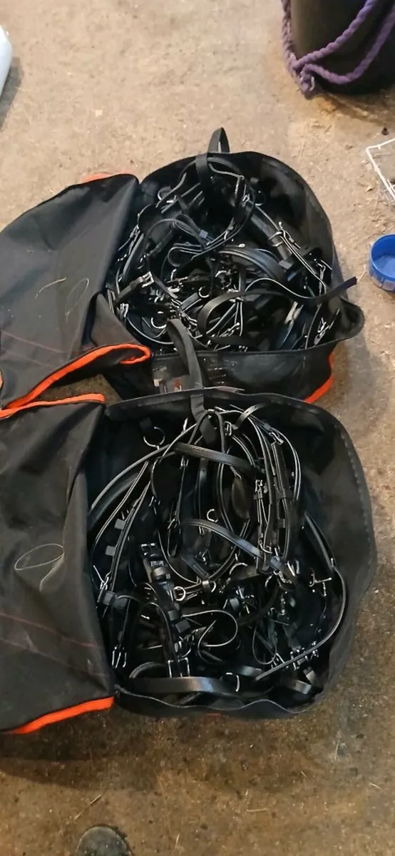 Miniature pony zilco pairs harness - Image 2