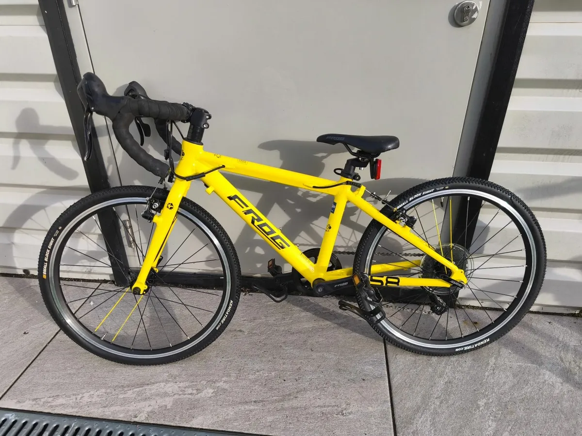 20-Inch Frog Road 58 bike + 2 spare Tyres - Image 4